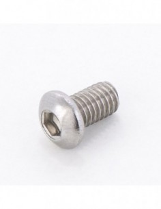 Tornillo M6 A2 10mm Allen...