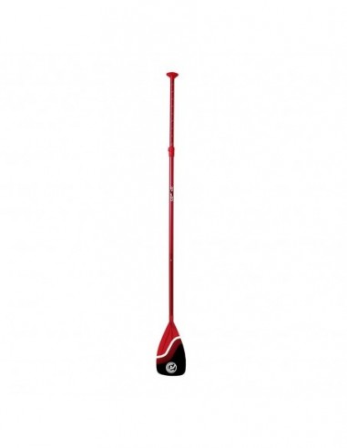 Tabla SUP hinchable Coasto Nautilus...