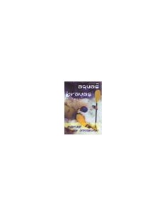 DVD Manual de Aguas Bravas 2