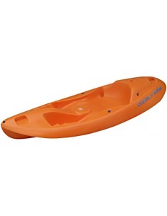 Kayak de Aguas Bravas y...