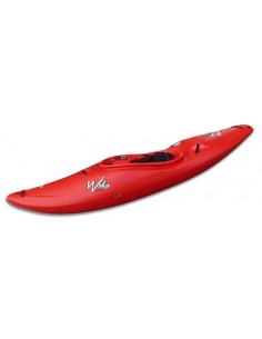 Kayak de Aguas Bravas y...