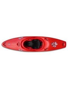 Kayak de Aguas Bravas y... 2