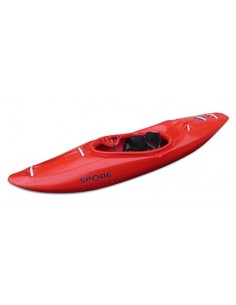 Kayak de Aguas Bravas y...
