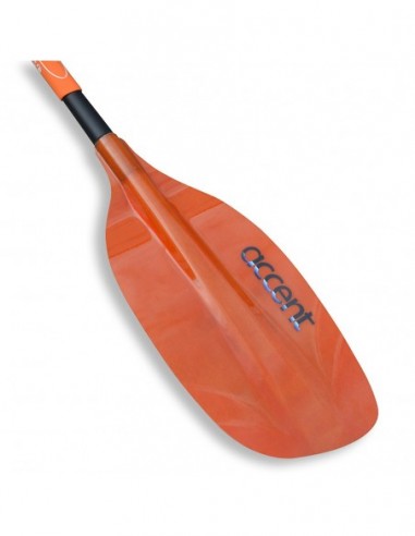 Pala de Aguas Bravas y Surf Rogue...