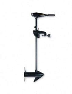Motor Endura 40 (agua...