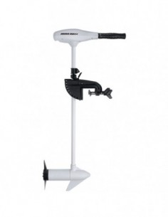 Motor Riptide 45 (agua...