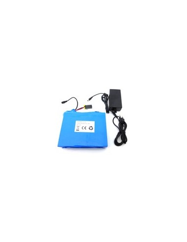 Bateria 12 V 6 Ah + Cargador Waterline