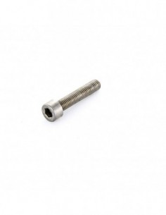 Tornillo M5 A2 25 mm Allen...