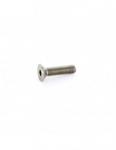 Tornillo M5 A2 16 mm Allen...