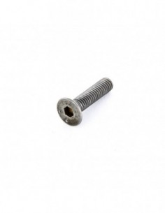 Tornillo M6 A2 21 mm Allen...