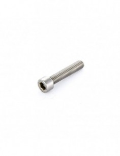 Tornillo M6 A2 30 mm Allen...