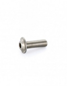 Tornillo M8 A2 25mm Allen...