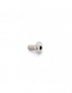 Tornillo A2 W6 10 mm allen...
