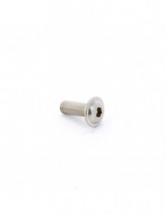 Tornillo A2 W6 15mm allen...