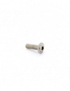 Tornillo A2 W6 20mm allen...