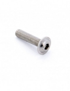 Tornillo M5 A2 25 mm Allen...