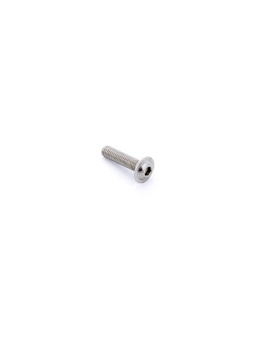 Tornillo M5 A2 25 mm Allen ala 12 m...
